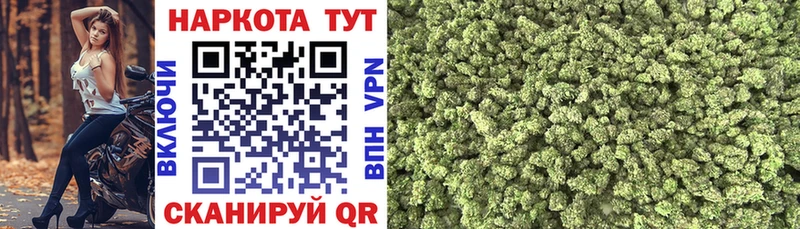 Как найти закладки Шуя Марихуана  А ПВП  ГАШИШ  АМФ  Кокаин 