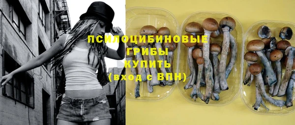 дурь Белокуриха