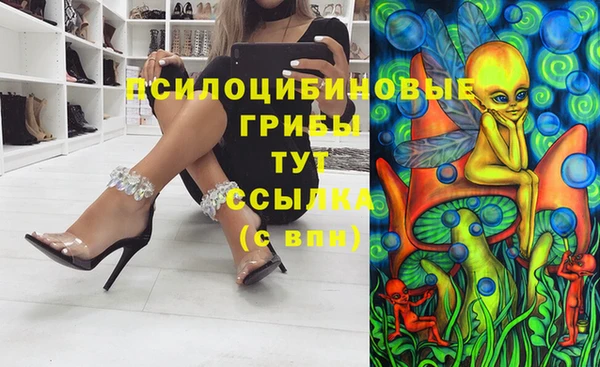 дурь Белокуриха