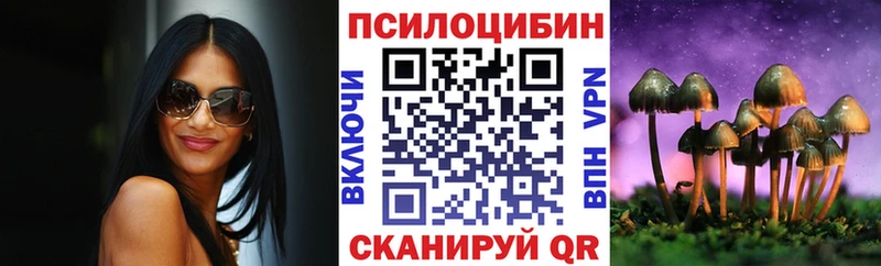 закладка  Шуя  Галлюциногенные грибы MAGIC MUSHROOMS 